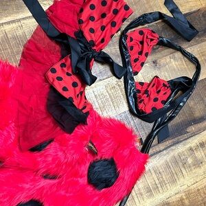 J. Valentine lady bug